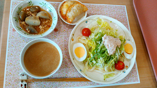 食事例：サラダうどん